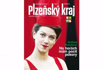 obrazek