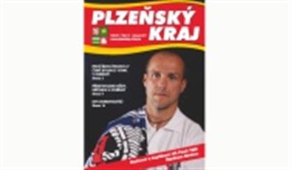 obrazek
