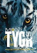 modry tygr